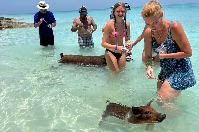 007 Private Beach Club -Swimming Pigs, Snorkeling, Lunch, Drinks - Key points to know before you book