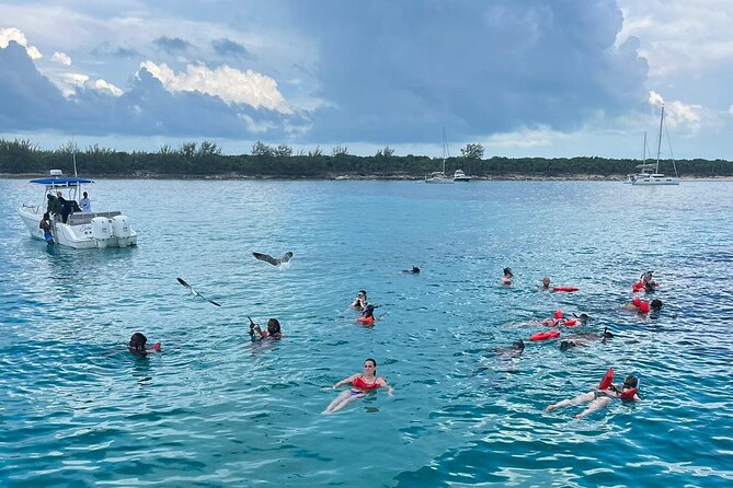 007 Private Beach Club -Swimming Pigs, Snorkeling, Lunch, Drinks - Rose Island and the 007 Beach Club