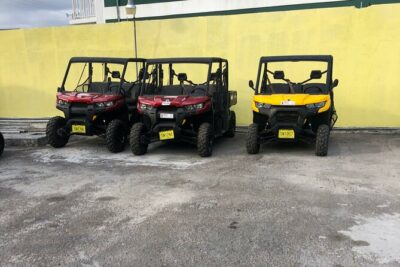 3-Hour Buggy Tour of New Providence (Inclusive of water & local deserts)