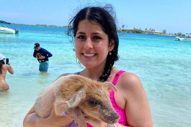 3 Islands Private Group Excursion (4hrs) - The Optional Pig Island Stop