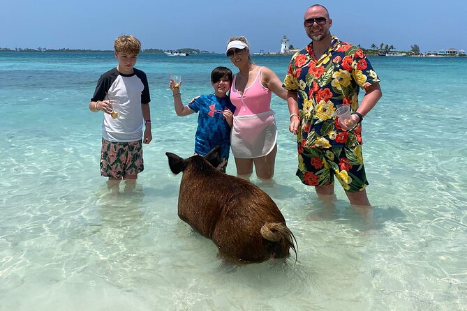 3 Islands Private Group Excursion (4hrs) - Swimming With Turtles Near The Islands