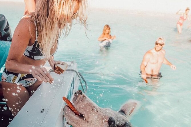 3 Islands Tour, Swim with Pigs, Turtles, Snorkelling & lunch - How the timing affects the value