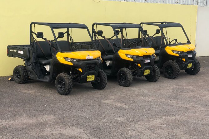 4-Hour Buggy Tour of New Providence (Inclusive of water & local deserts) - Key points to know before booking