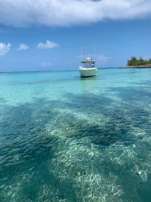 4 hour Fishing or Snorkeling - Why the private format matters