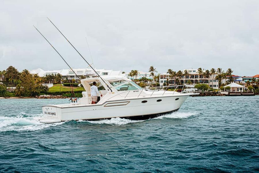 4 hour Fishing or Snorkeling - Who will enjoy this charter most
