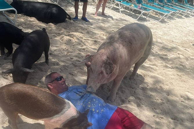 4hr Private Tour Island Hop Snorkel w/ Turtles & Sip Bahama Mamas - Rose Island beach time and Bahama Mamas