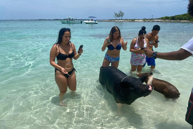 4hr Private Tour Island Hop Snorkel w/ Turtles & Sip Bahama Mamas - Practical details that affect your day