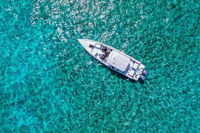 5 Hours Pigs and Turtles with Beach Stop in Bahamas - Key points before you book