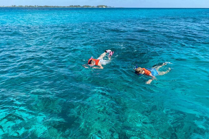 5 Hours Pigs and Turtles with Beach Stop in Bahamas - Atholl Island and the pig encounter