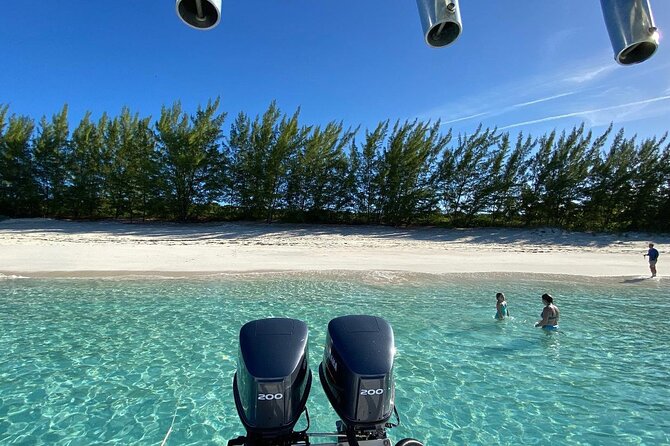 5 Hours Pigs and Turtles with Beach Stop in Bahamas - The crew can shape the day