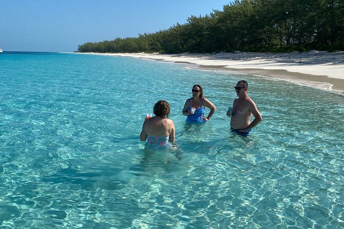 5 Hours Pigs and Turtles with Beach Stop in Bahamas - How the small group changes the value
