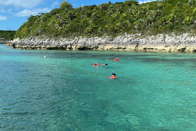 5 Hours Pigs and Turtles with Beach Stop in Bahamas - Rose Island gives you the best part of the day