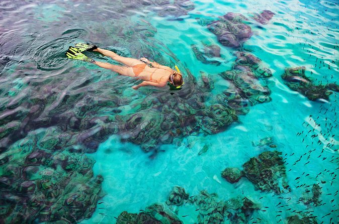 6 Hours Rose Island Tour with Snorkeling Experience and Lunch - Rainbow Bay offers the second snorkeling session