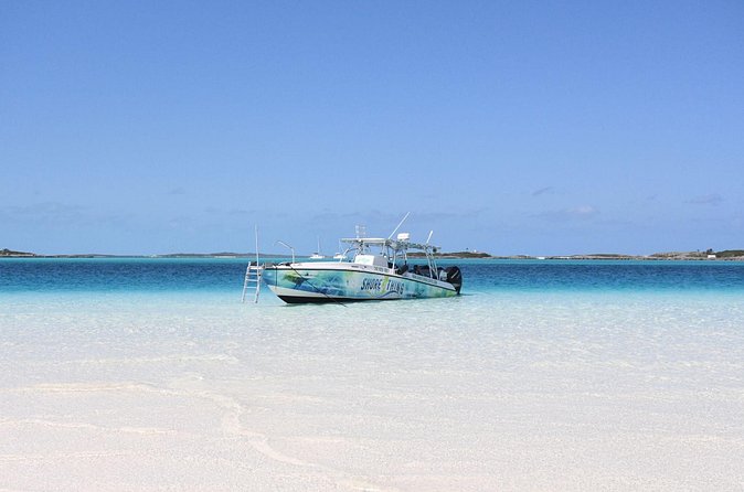 6 Hours Rose Island Tour with Snorkeling Experience and Lunch - The Hideaway Floating Bar & Grill is the day’s anchor