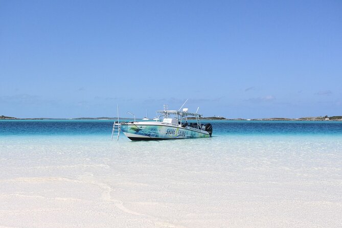 6 Hours Rose Island Tour with Snorkeling Experience and Lunch - What the six-hour pace feels like
