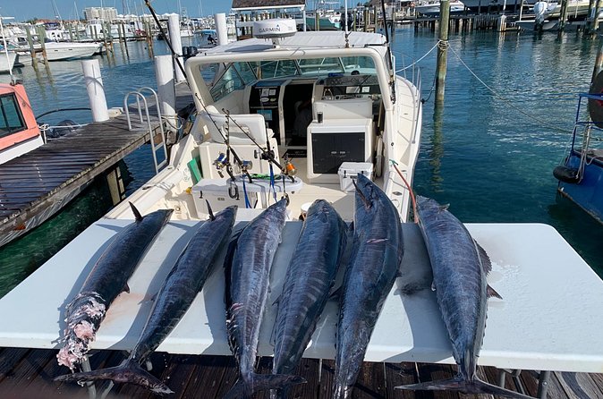 8 hours 38ft Reel Dreams Private Charter Nassau - Snorkeling, swimming, and time away from the rods