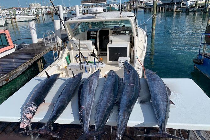 8 hours 38ft Reel Dreams Private Charter Nassau - Weather, timing, and cancellation details