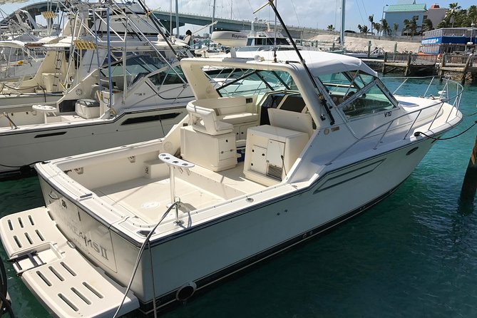 8 hours 38ft Reel Dreams Private Charter Nassau - Choosing between offshore fishing and light tackle