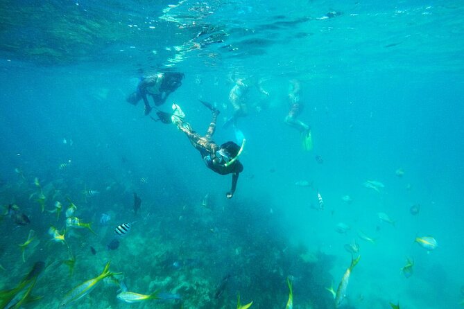 All Inclusive Half Day Sail and Snorkel - Key points to know before you book