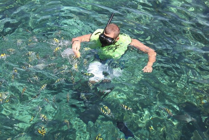 All Inclusive Half Day Sail and Snorkel - Sailing out from Paradise Island