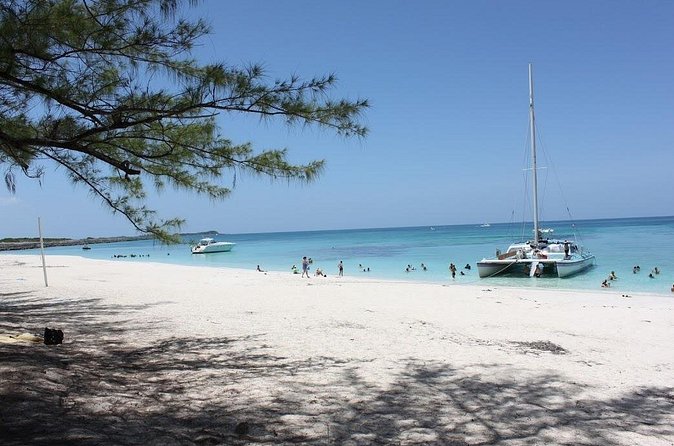 All Inclusive Half Day Sail and Snorkel - Snorkeling for beginners, with conditions attached