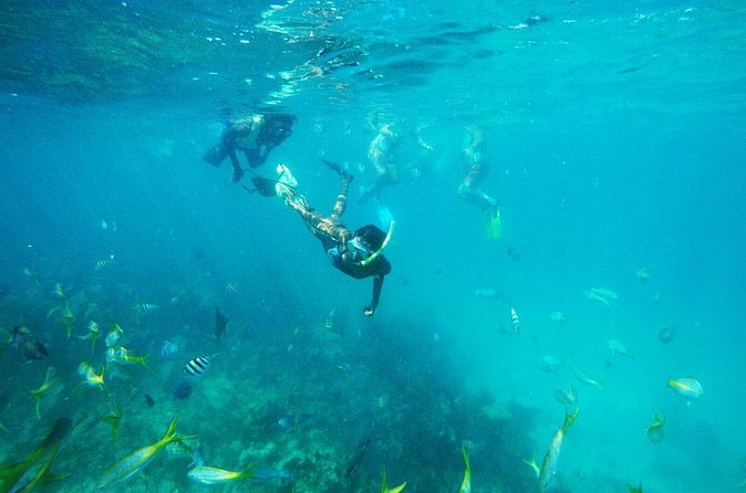 All Inclusive Half Day Sail and Snorkel - Drinks, snacks, and the all-inclusive promise