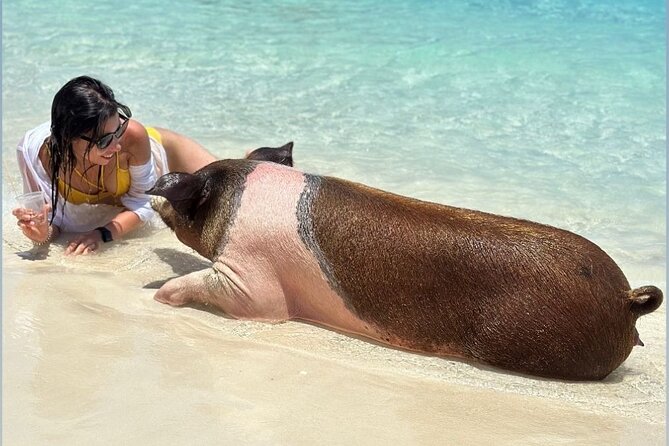 All Inclusive Pig Encounter, Snorkeling, Turtles, Lunch & Beach - Green Cay and the turtle sanctuary