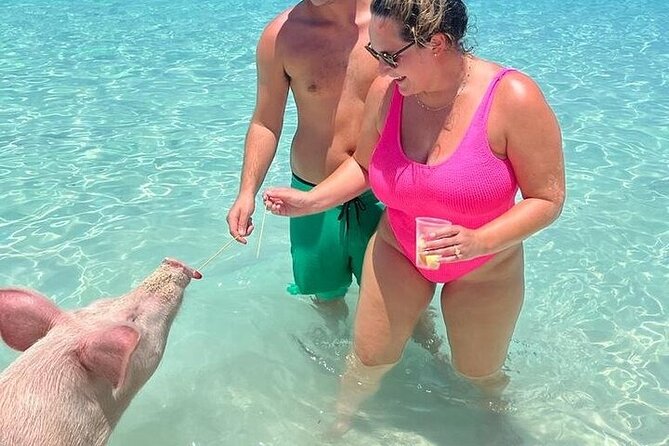 All Inclusive Pig Encounter, Snorkeling, Turtles, Lunch & Beach - Crew, comfort, and the pace of the day