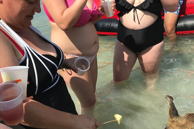 All Inclusive Swimming With The Pigs - Drinks, snacks, and the all-inclusive promise