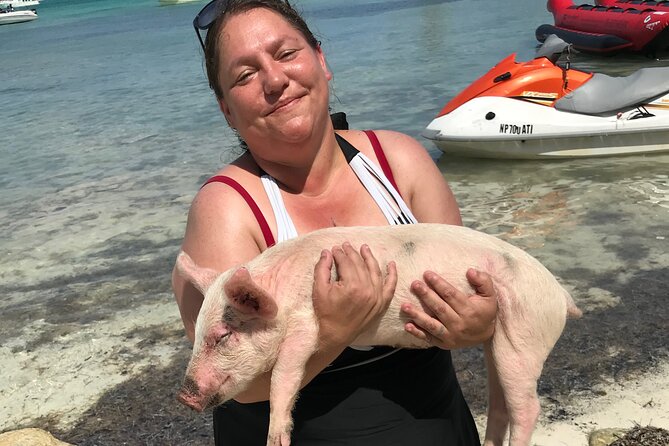 All Inclusive Swimming With The Pigs - Is $150 per person a fair price?