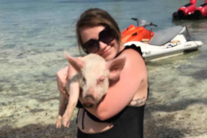 All Inclusive Swimming With The Pigs - Who will enjoy this two-hour outing most?