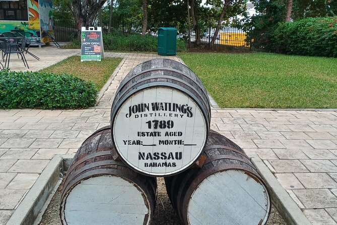 All New Tours "Bahamas Brunch" & "Signature Downtown Tour" - The Straw Market and the walk back downtown