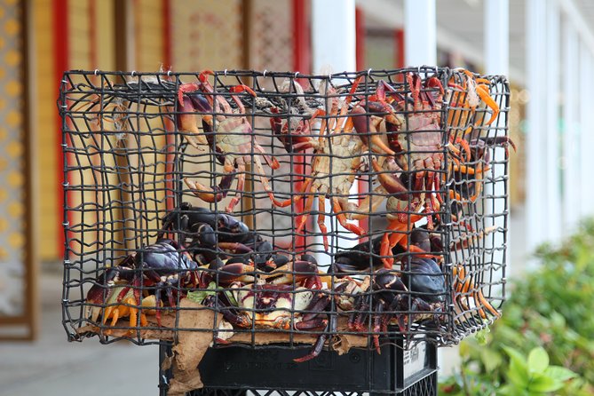 Around Town/Bahamian Cooking Experience - Why this Freeport tour is different