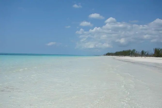 Around Town/Bahamian Cooking Experience - The Open Air Farmer’s Market and local food stops