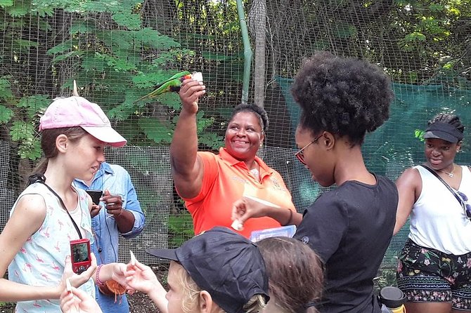 At YOUR Pace Private Tours V.I.P - Nassau, Bahamas - Straw Market and Parliament Square