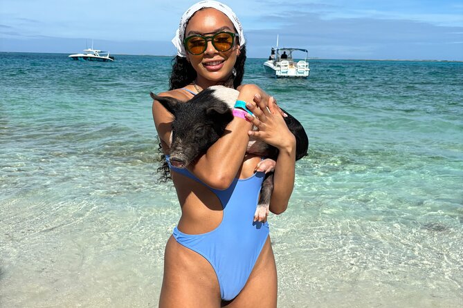 Bahamas Adventure: Pigs, Reef, Turtles, and Beach with Lunch - Why this four-hour trip works for Nassau visitors