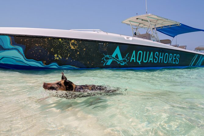 Bahamas Adventure: Pigs, Reef, Turtles, and Beach with Lunch - Is $299 a fair price?