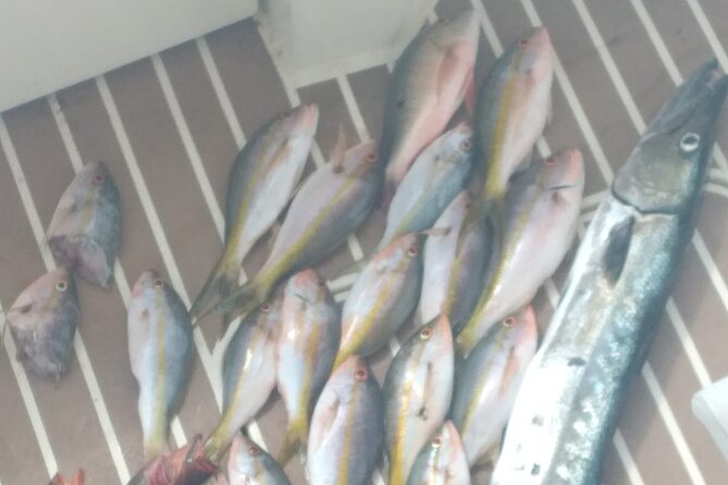 Bahamas Deep Sea Fishing - Leaving Nassau for the deep blue water