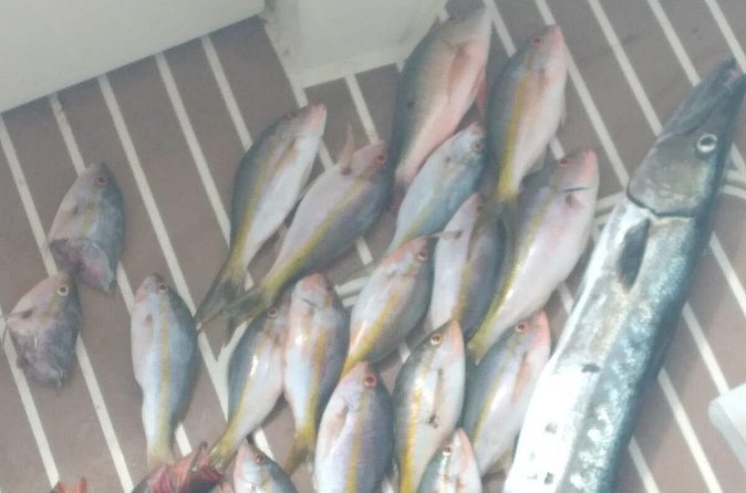 Bahamas Deep Sea Fishing - What to bring for a four-hour outing