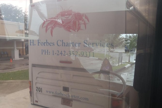 Bahamas Get-A-Round Bus Pass - Downtown Freeport: A Look at Local Daily Life