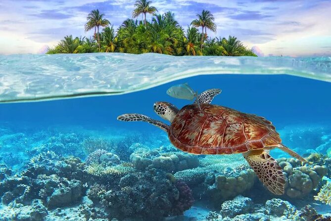 Bahamas Local Water Tours to George Town and Exuma - Setting out from Saint Francis Resort at noon
