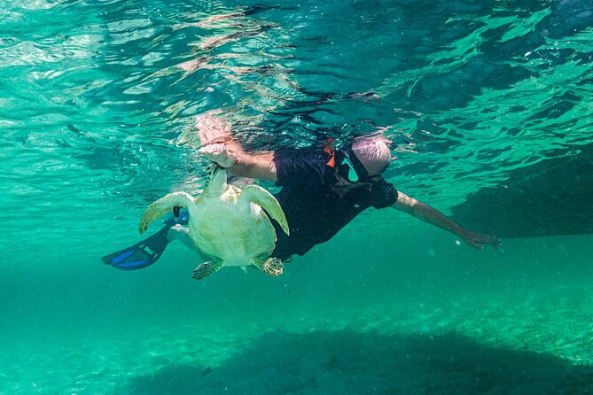 Bahamas Local Water Tours to George Town and Exuma - Hooper’s Bay is the main wildlife encounter