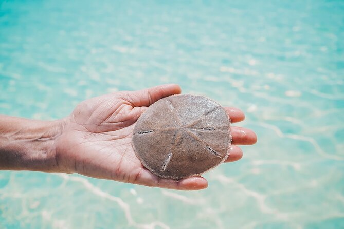 Bahamas Local Water Tours to George Town and Exuma - The friendly local approach suits families