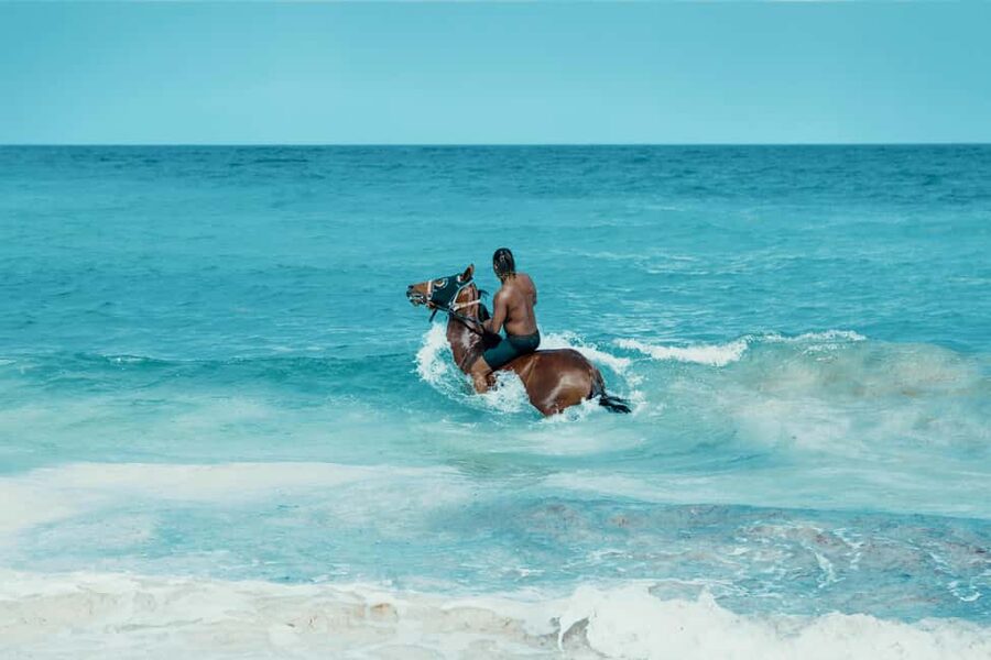 Bahamas: Nassau Horseback Riding on Beaches & Trails - Key details before you saddle up