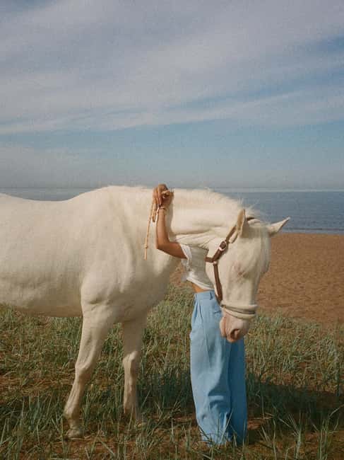 Bahamas: Nassau Horseback Riding on Beaches & Trails - Is $375 per person a fair price?