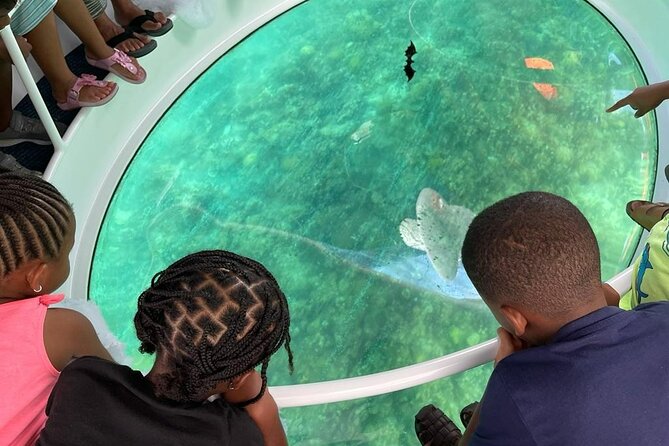 Bahamas on a Semi Submersive Glass Bottom Boat - Celebrity Homes, Yachts, and the View From the Water