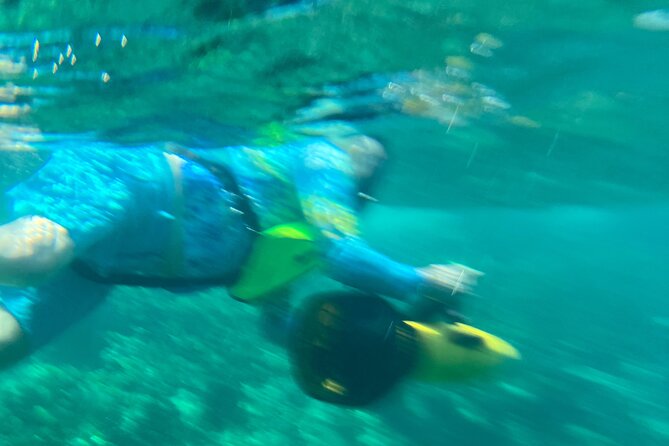 Bahamas Sea Scooter Snorkeling Adventure - Why the guide can make or break the day