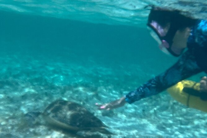 Bahamas Sea Scooter Snorkeling Adventure - Price, group size, and overall value
