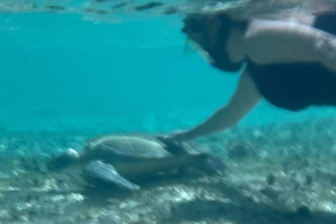 Bahamas Sea Scooter Snorkeling Adventure - Who should book this adventure?
