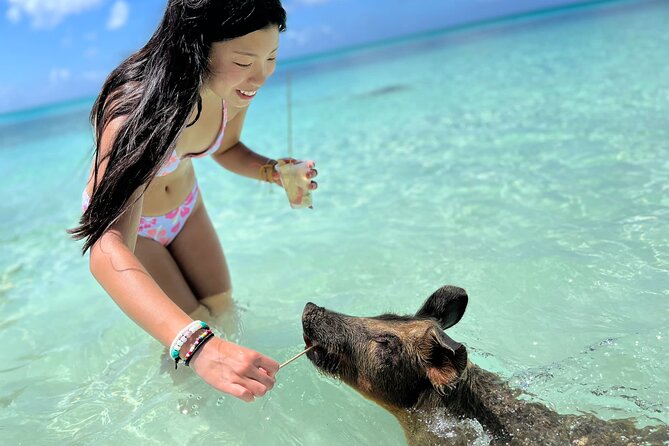 Bahamas Swimming Pigs Experience on Rose Island - Key points to know before you book